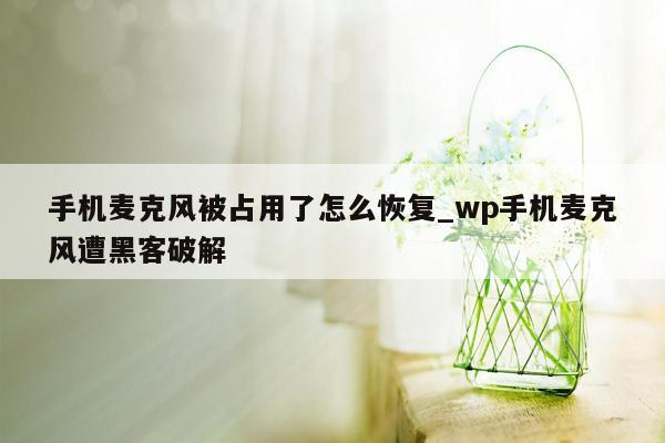 手机麦克风被占用了怎么恢复_wp手机麦克风遭黑客破解