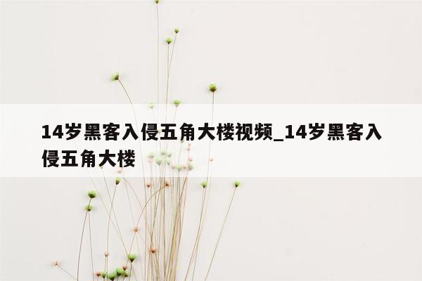 14岁黑客入侵五角大楼视频_14岁黑客入侵五角大楼