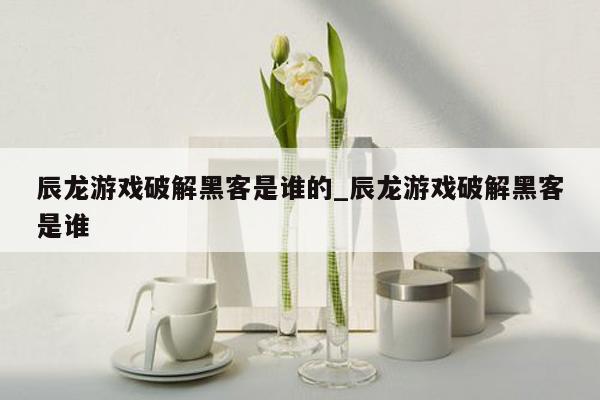 辰龙游戏破解黑客是谁的_辰龙游戏破解黑客是谁