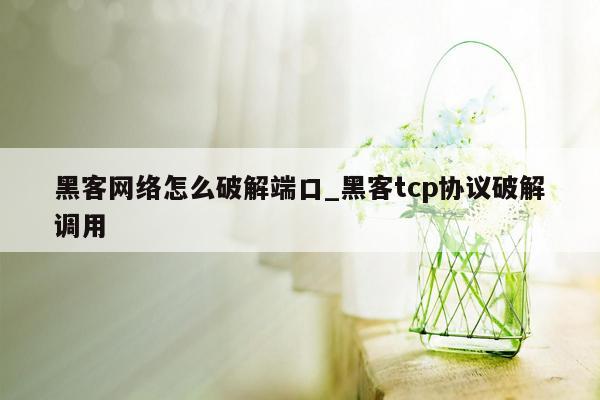 黑客网络怎么破解端口_黑客tcp协议破解调用