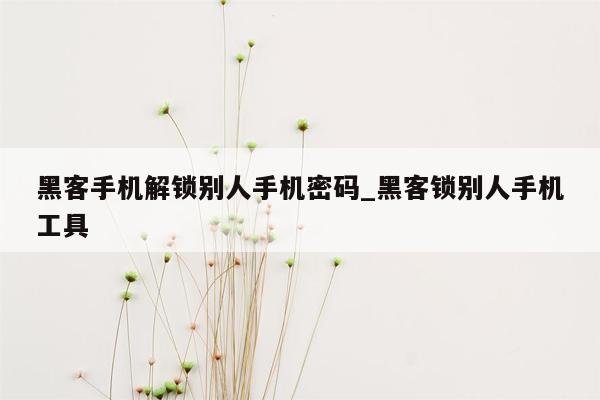 黑客手机解锁别人手机密码_黑客锁别人手机工具