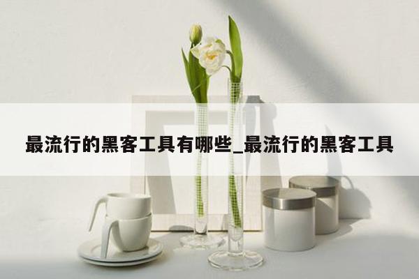 最流行的黑客工具有哪些_最流行的黑客工具