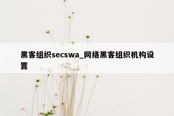 黑客组织secswa_网络黑客组织机构设置