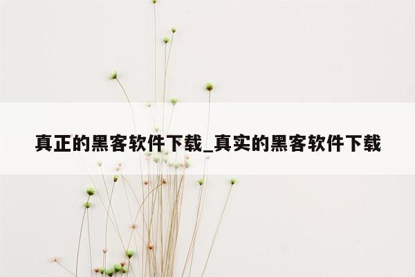 真正的黑客软件下载_真实的黑客软件下载