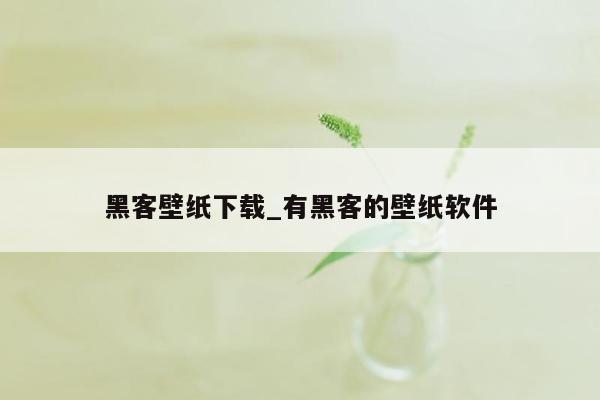 黑客壁纸下载_有黑客的壁纸软件