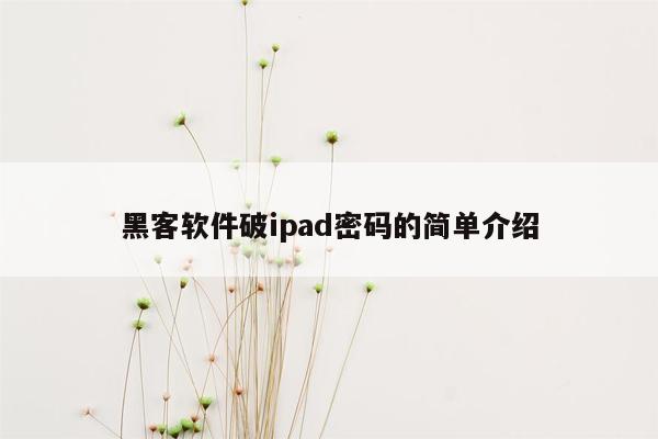 黑客软件破ipad密码的简单介绍