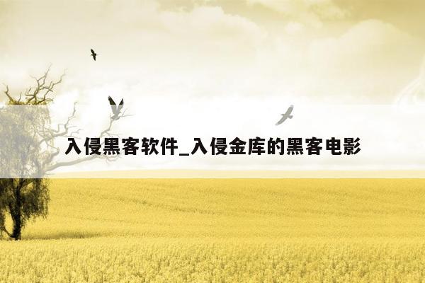 入侵黑客软件_入侵金库的黑客电影