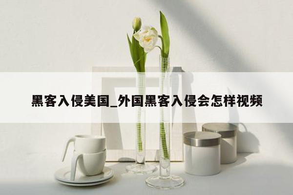 黑客入侵美国_外国黑客入侵会怎样视频