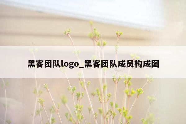 黑客团队logo_黑客团队成员构成图