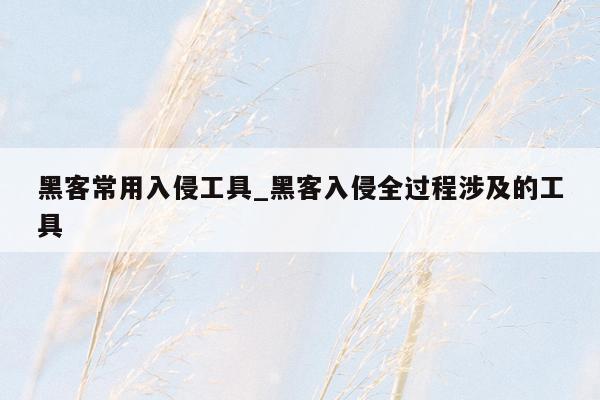 黑客常用入侵工具_黑客入侵全过程涉及的工具