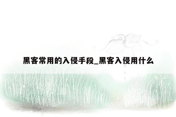 黑客常用的入侵手段_黑客入侵用什么