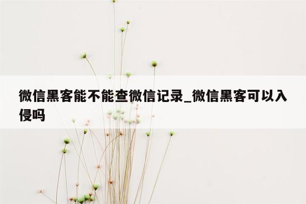 微信黑客能不能查微信记录_微信黑客可以入侵吗