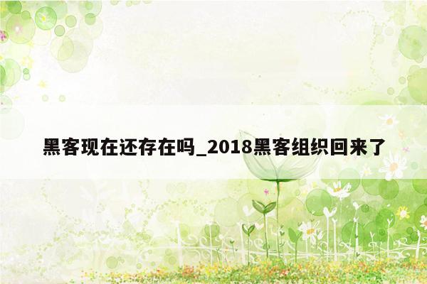 黑客现在还存在吗_2018黑客组织回来了