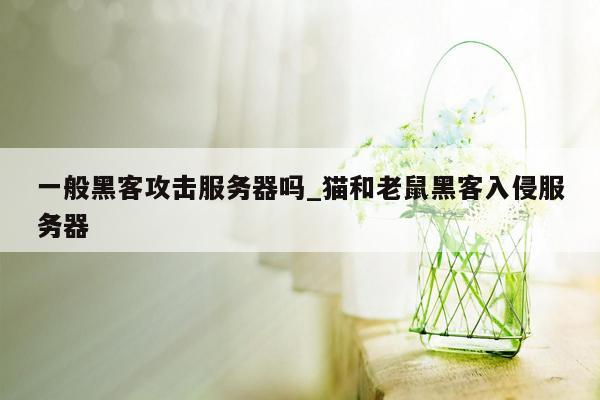 一般黑客攻击服务器吗_猫和老鼠黑客入侵服务器