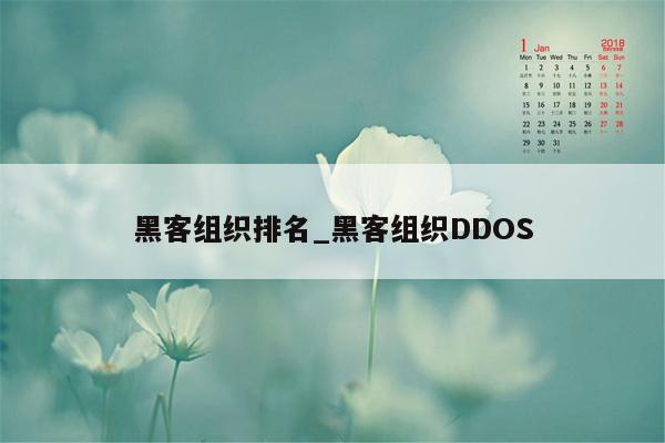 黑客组织排名_黑客组织DDOS