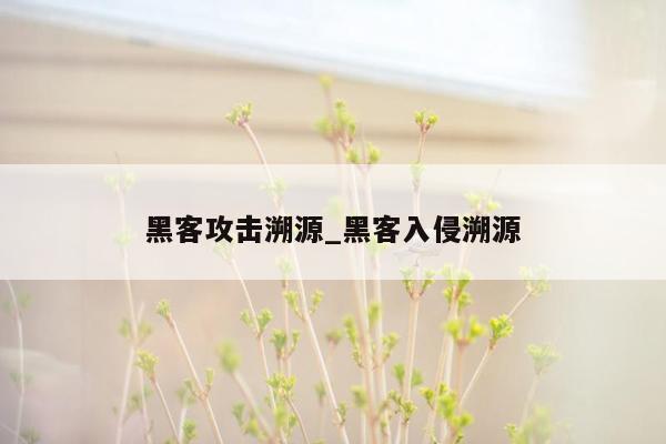 黑客攻击溯源_黑客入侵溯源