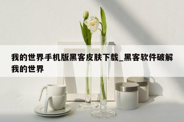 我的世界手机版黑客皮肤下载_黑客软件破解我的世界