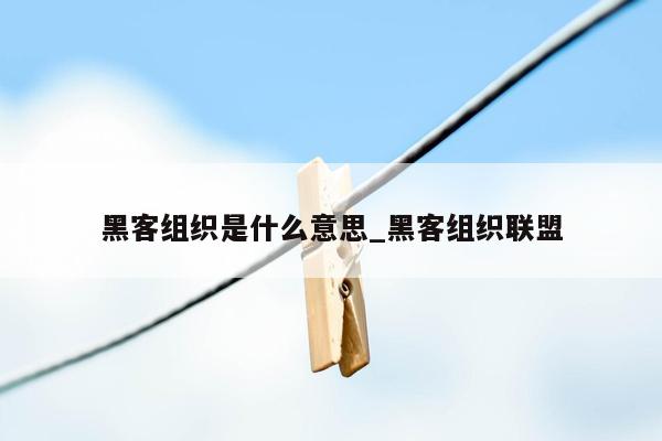 黑客组织是什么意思_黑客组织联盟