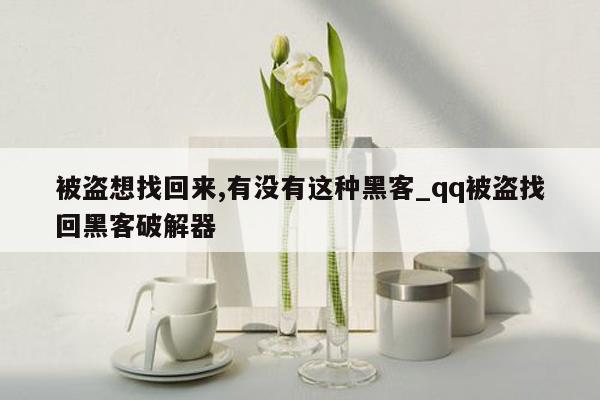 被盗想找回来,有没有这种黑客_qq被盗找回黑客破解器