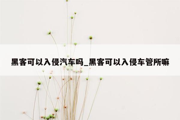 黑客可以入侵汽车吗_黑客可以入侵车管所嘛