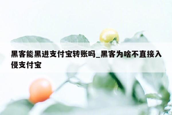 黑客能黑进支付宝转账吗_黑客为啥不直接入侵支付宝