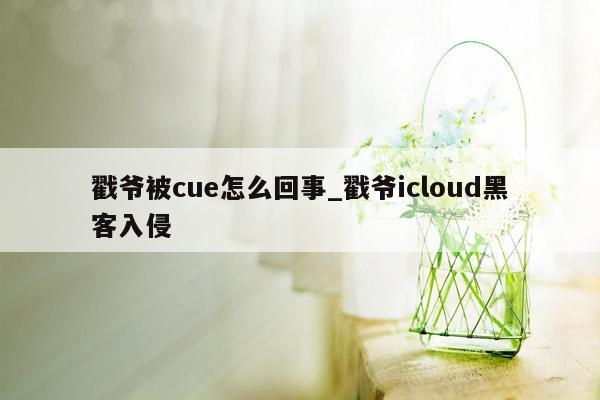 戳爷被cue怎么回事_戳爷icloud黑客入侵