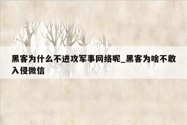 黑客为什么不进攻军事网络呢_黑客为啥不敢入侵微信