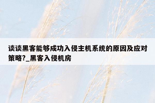 谈谈黑客能够成功入侵主机系统的原因及应对策略?_黑客入侵机房