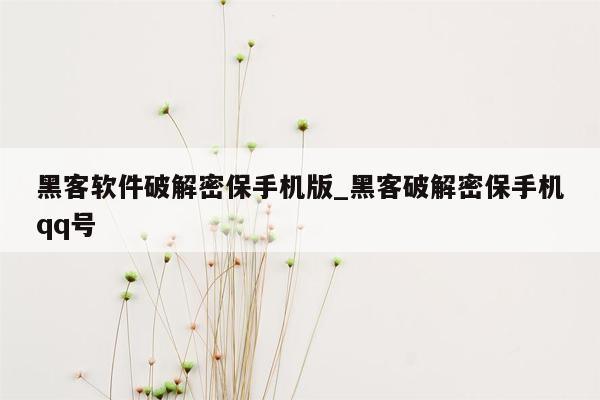 黑客软件破解密保手机版_黑客破解密保手机qq号