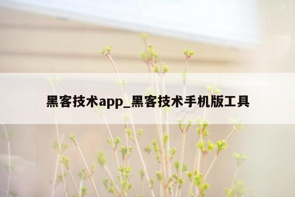 黑客技术app_黑客技术手机版工具
