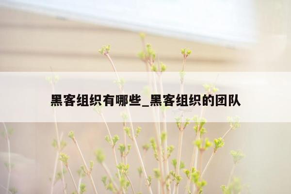 黑客组织有哪些_黑客组织的团队