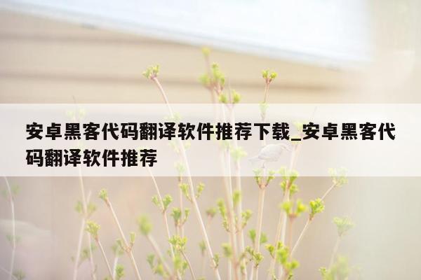 安卓黑客代码翻译软件推荐下载_安卓黑客代码翻译软件推荐